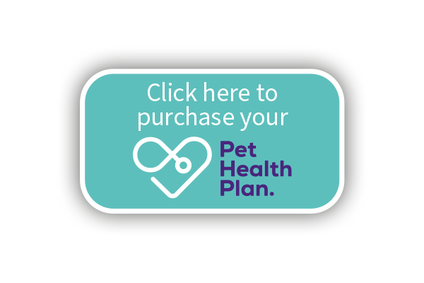 Blue Wolf Vets mobile vet service